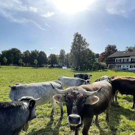 Familie Zint * Sonthofen