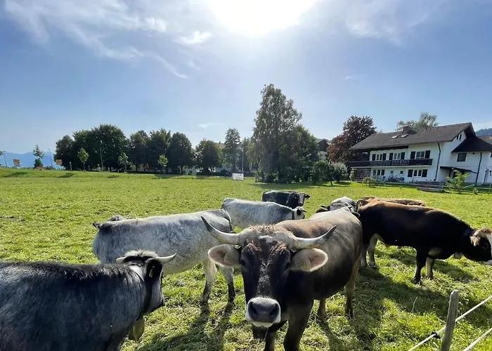 Familie Zint * Sonthofen
